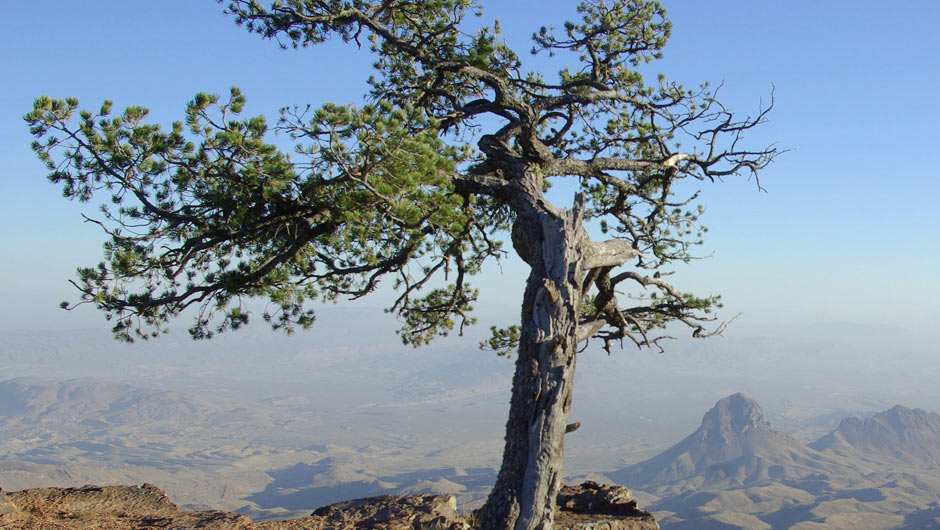 Texas: Geography -- Climate